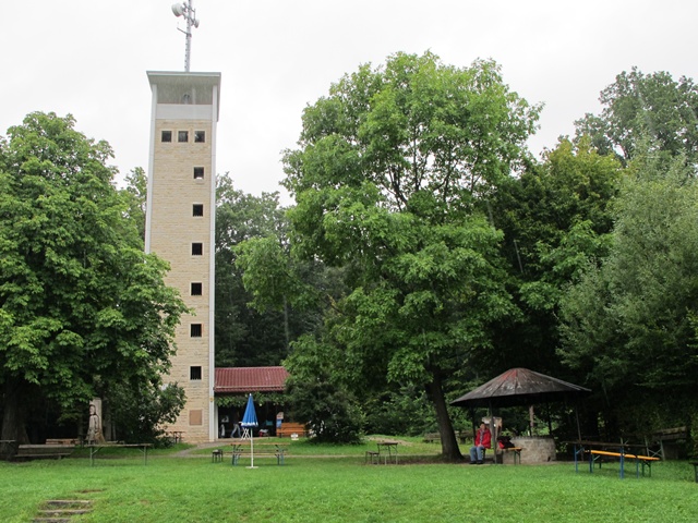 Halbtageswanderung zum Uhlbergturm Schwäbischer Albverein